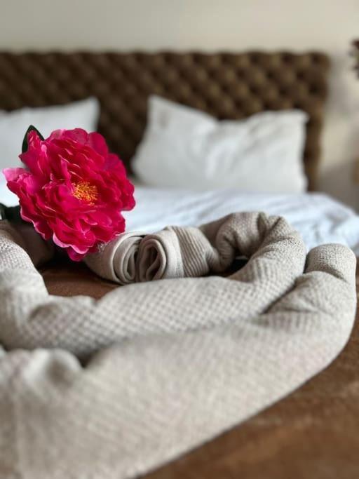 Duplex Apartment Ullstein- 4 Bedrooms, 2 Bathrooms, Living Room, 2 Parking Spaces, Boxspringbeds, Family & Business Apartment! ベルリン エクステリア 写真